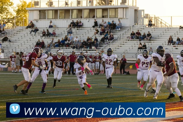 欧博官方网站平台生态图